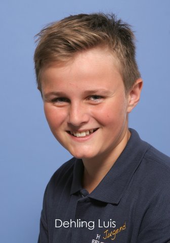 dehling luis